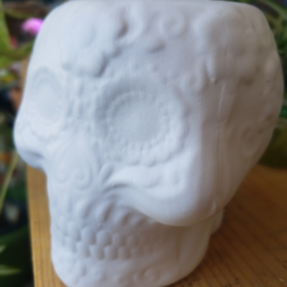 White skull planter - Picture 4 of 5